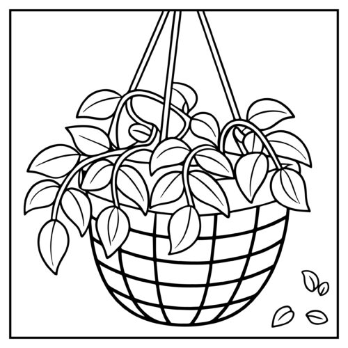 Hanging basket with plants