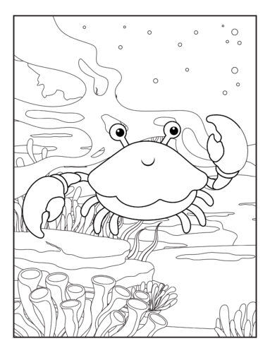Happy crab coral reef