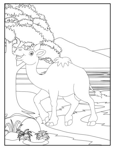 Happy elephant by the water