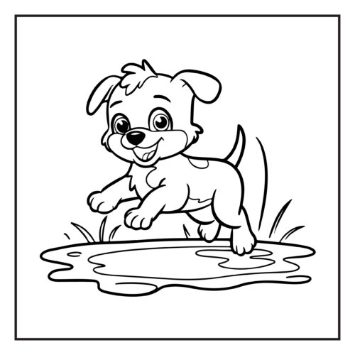 Happy puppy splashing in puddle