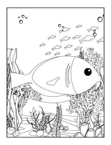 Large fish with smaller fish school