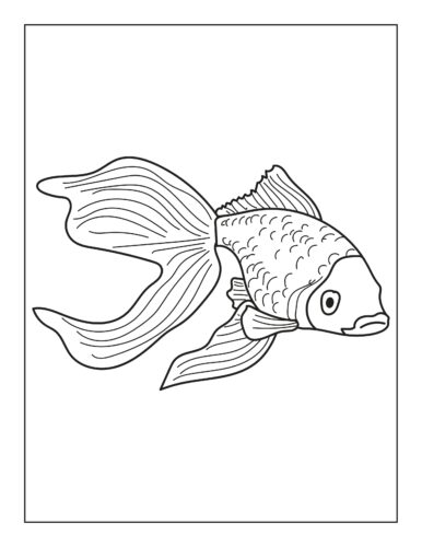 Large gold fish coloring page