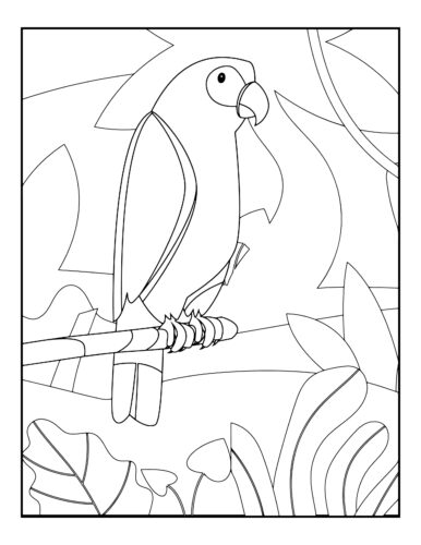 Large parrot on bamboo perch