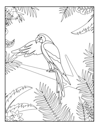 Large parrot with detailed wings