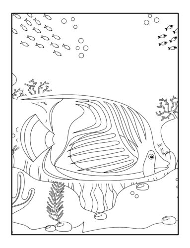 Large tropical fish underwater scene