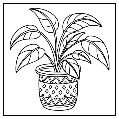 Leafy plant in patterned pot