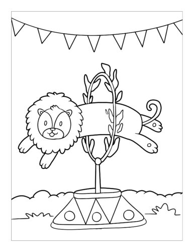 Lion jumping through hoop