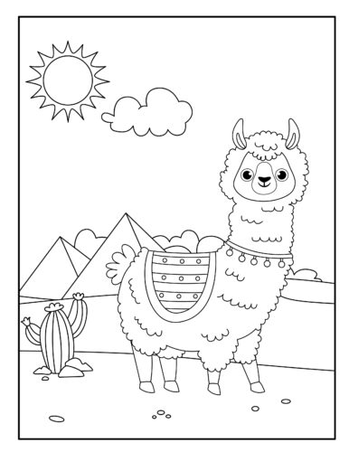 Llama standing in sunlight