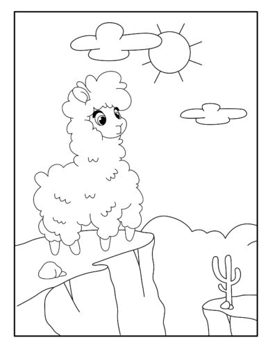 Llama standing on mountain