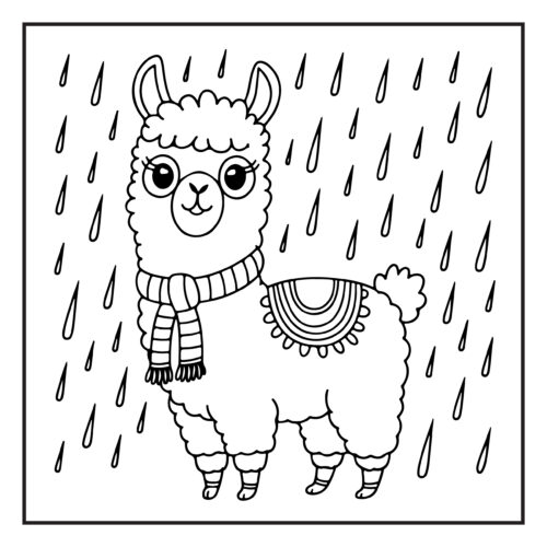 Llama with scarf in rain