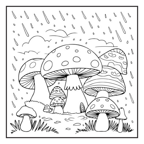 Mushrooms growing in the rain