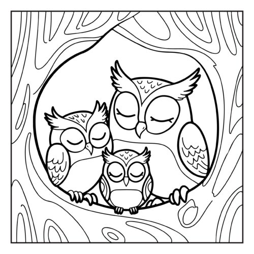 Owl family sleeping in tree