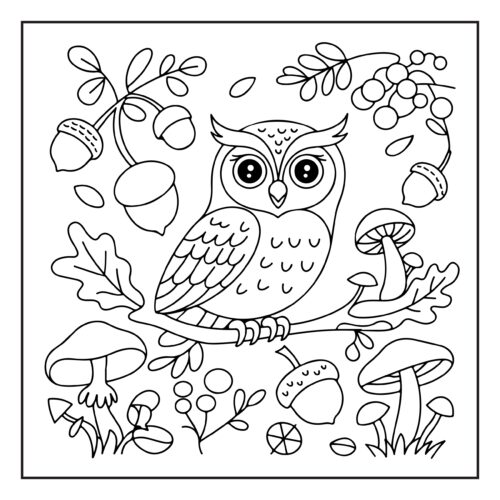 Owl in forest with mushrooms