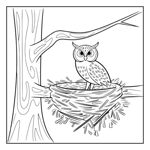 Owl sitting in tree nest