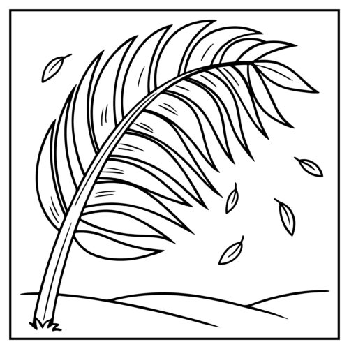 Palm tree with falling leaves