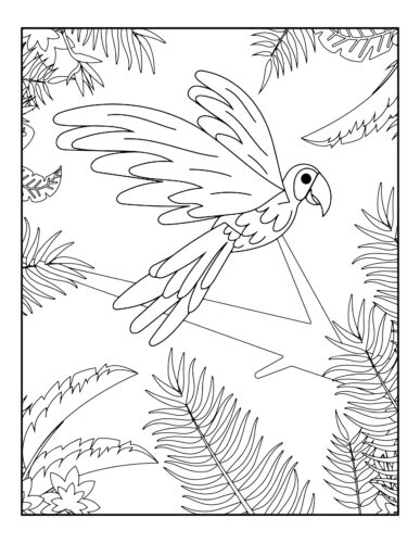 Parrot flying with wings spread