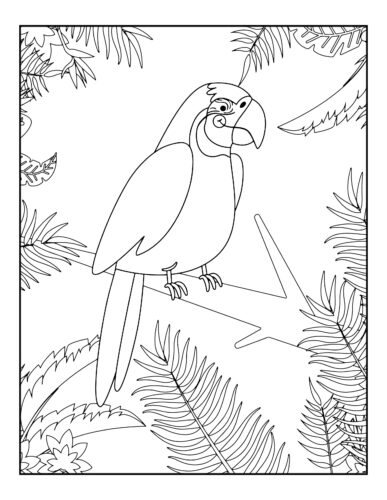 Parrot perched on tree branch