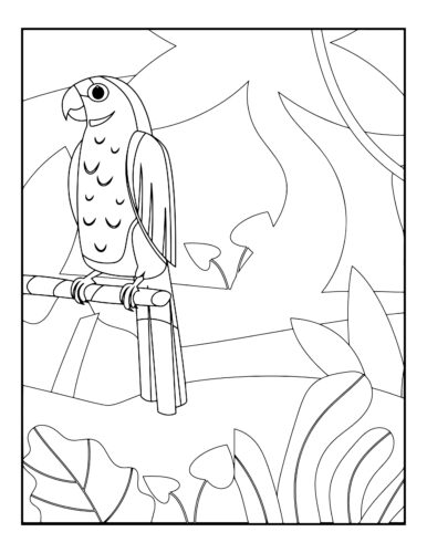Parrot perched on wooden branch