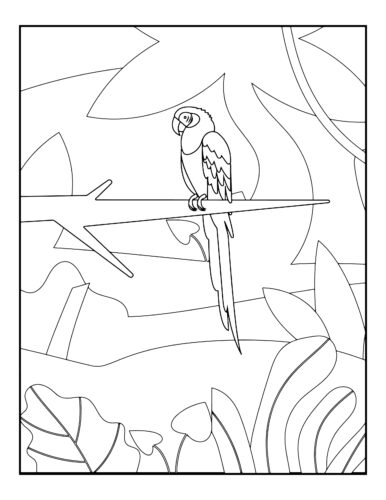 Parrot sitting on tree branch