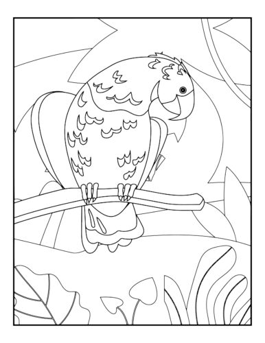 Parrot sitting on wooden branch