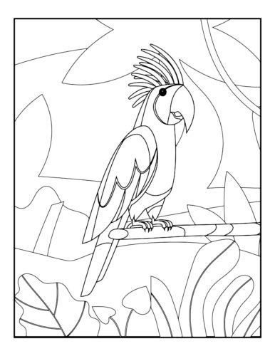 Parrot with crest on branch