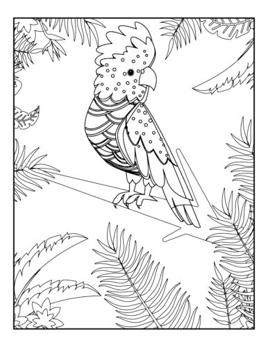 Parrot with spotted feather patterns