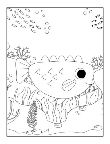 Pufferfish with spiky dorsal fin