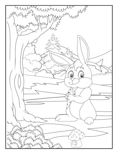 Rabbit eating carrot by water