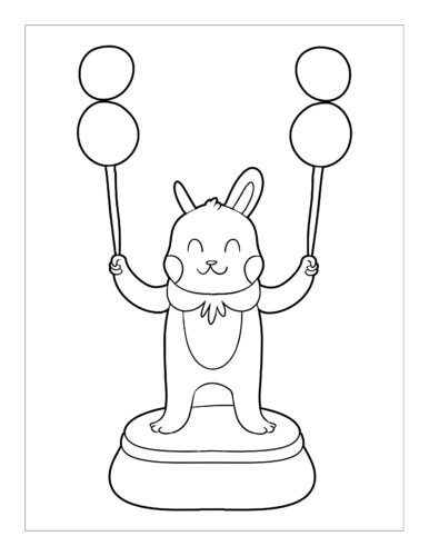 Rabbit performing plate spinning