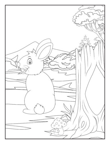 Rabbit sitting by forest stream