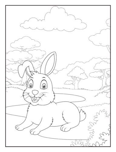 Rabbit sitting in meadow scene