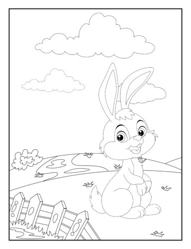 Rabbit sitting in open field