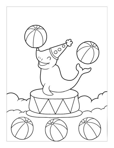 Seal juggling circus balls