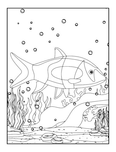 Shark swimming with sea creatures below