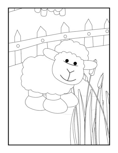 Sheep sitting in tall grass