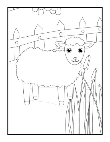 Sheep standing by picket fence