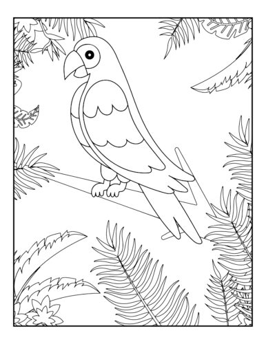 Simple parrot on straight branch
