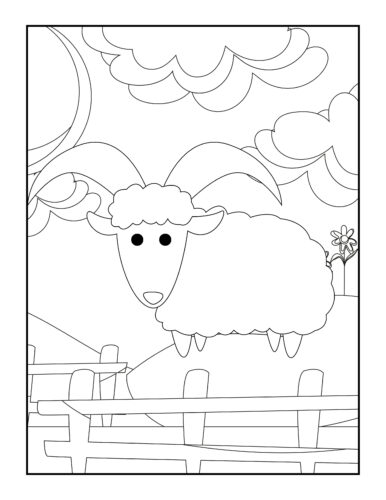 Simple sheep behind farm fence