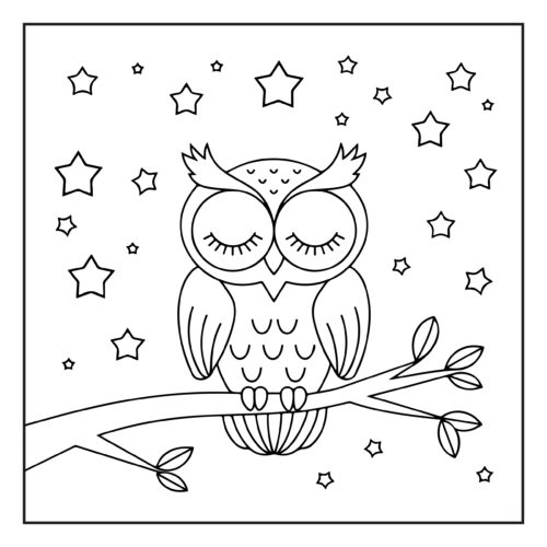 Sleepy owl under starry sky
