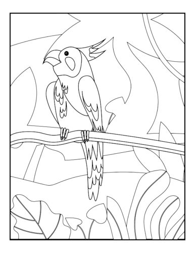 Small parrot on tree branch