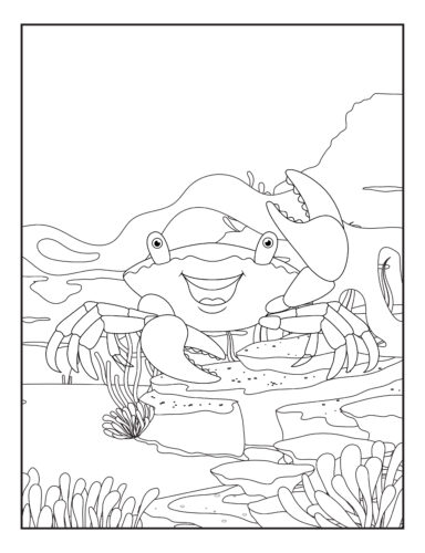 Smiling crab ocean floor