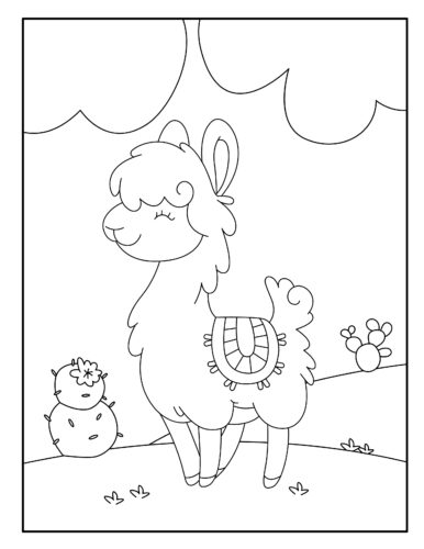 Smiling llama with small cactus