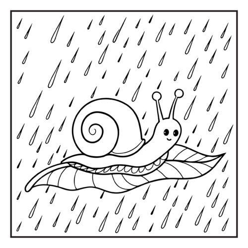 Snail on leaf in rain