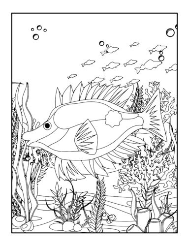 Spiky fish with tall fins