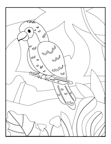 Spotted parrot on wooden perch