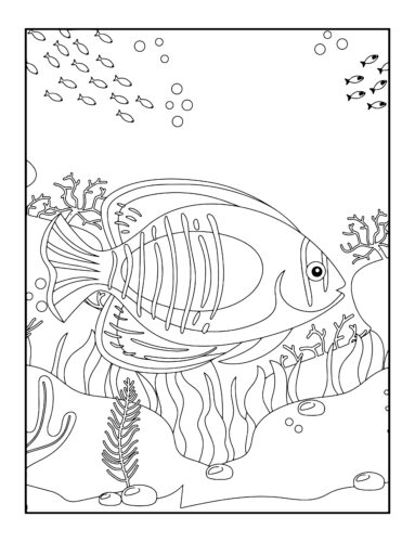 Striped fish with flowing seaweed