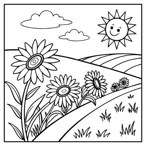 Sunny field of daisy flowers