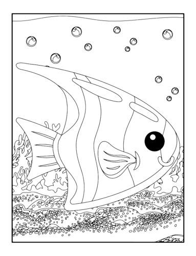 Tropical fish with coral reef