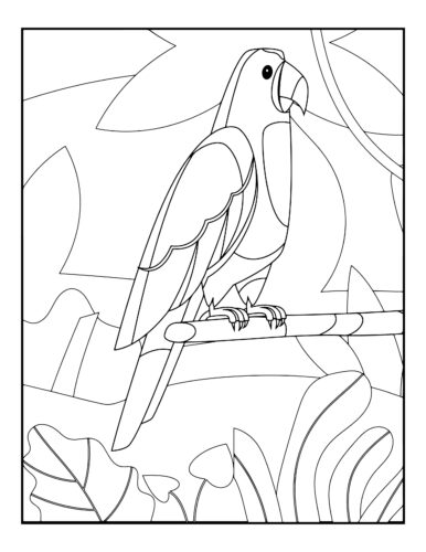Tropical parrot on branch perch