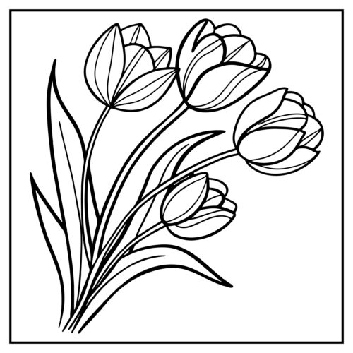 Tulips in elegant bouquet arrangement